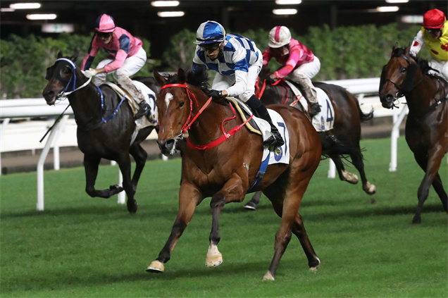 「雪勇神駒」上仗在何澤堯胯下一出即勝，姿態悅目