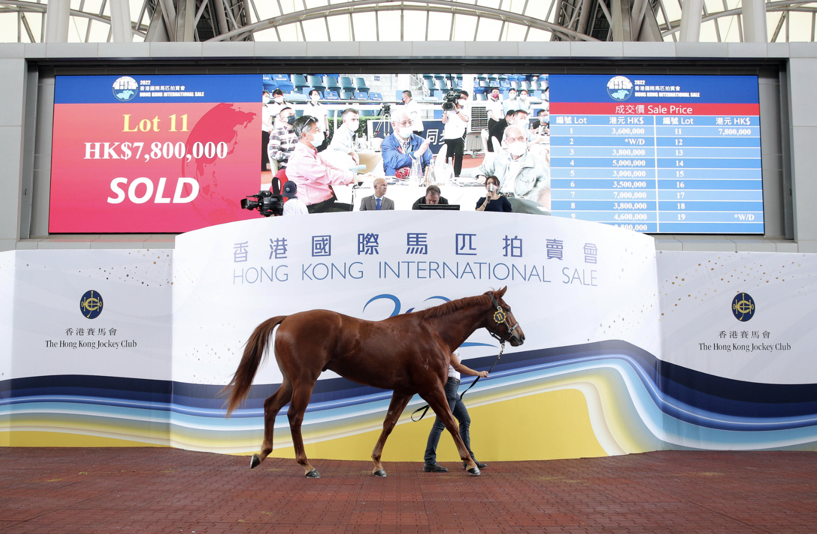 The sale topping Deep Field colt. Picture: HKJC.