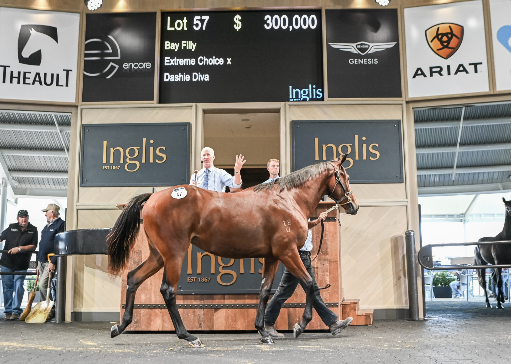 Lot 57 Extreme Choice - Dashie Diva filly. Picture: INGLIS.