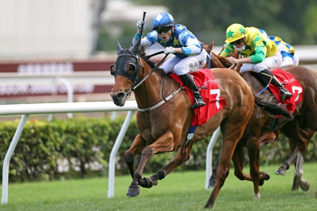 「錶之未來」 去年勝出中銀香港私人銀行馬會短途錦標（1200米二級賽）。