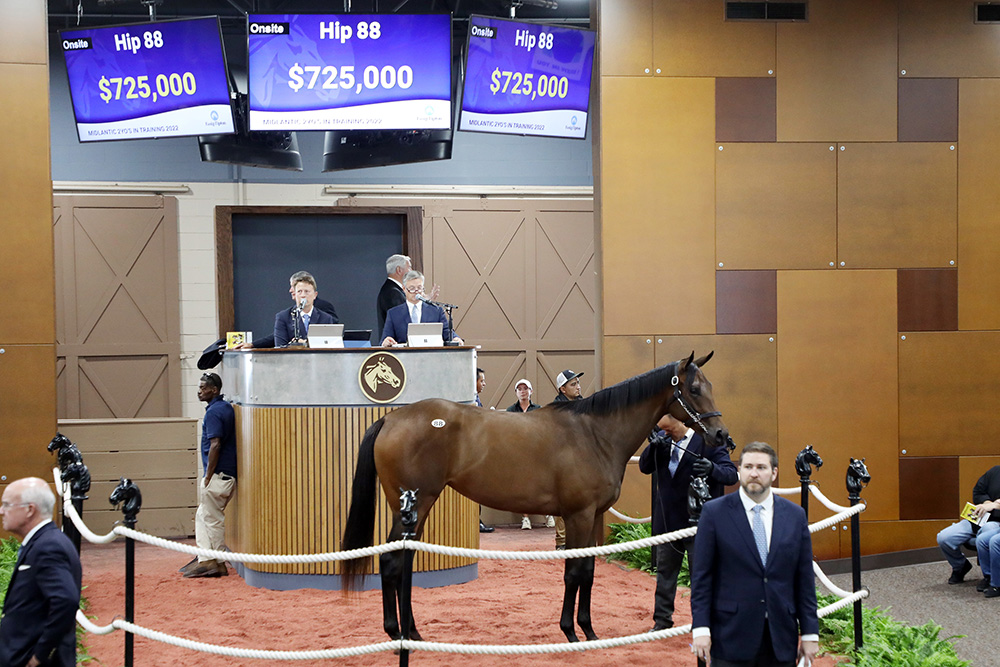 Monday's session topper. Picture: Fasig-Tipton.