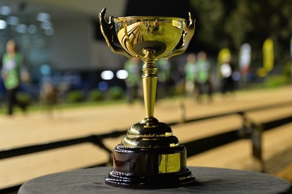 2022 Melbourne Cup Wide Open After Box Draw | Racing and Sports