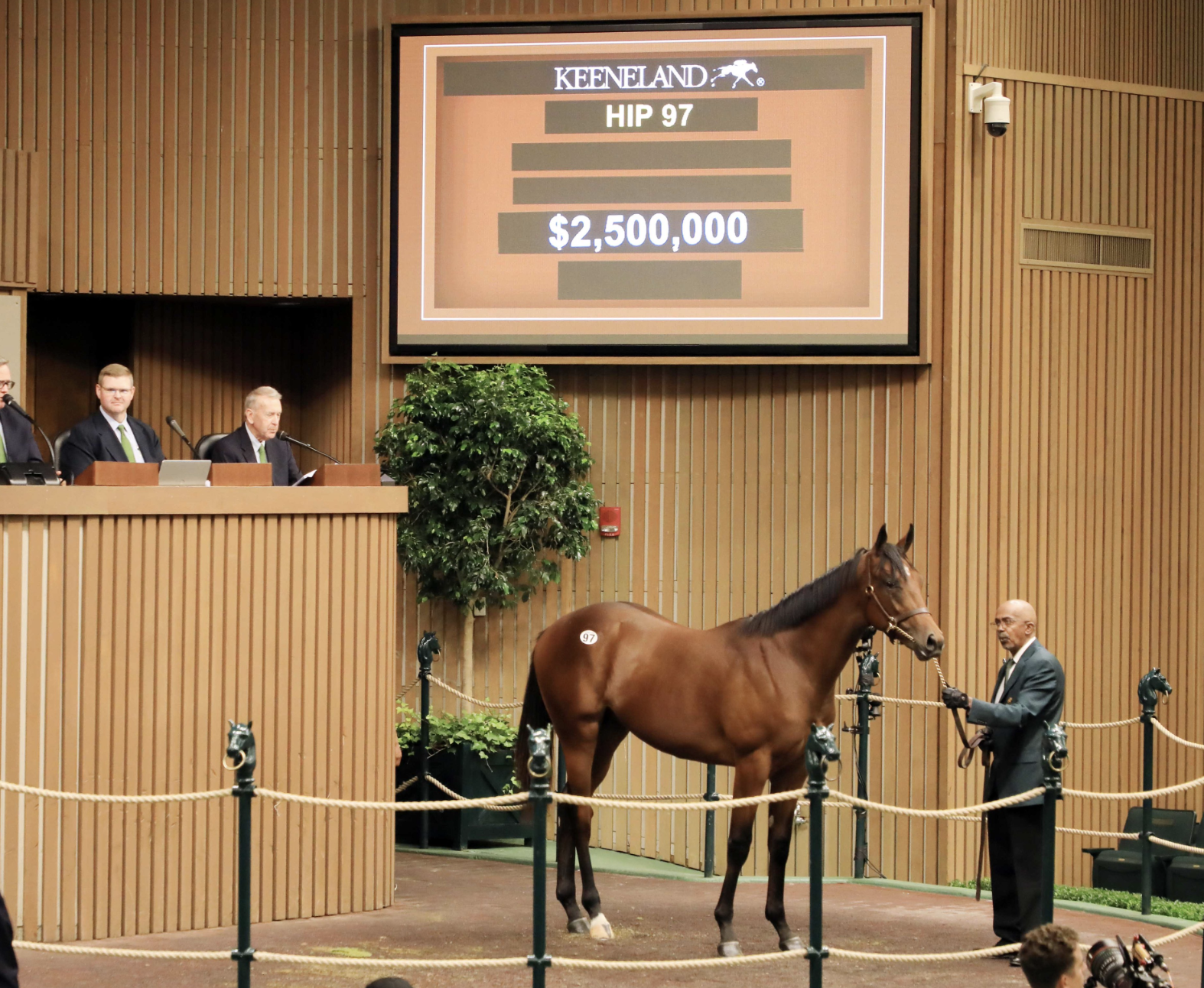 The session topping Quality Road colt. Picture: Keeneland.