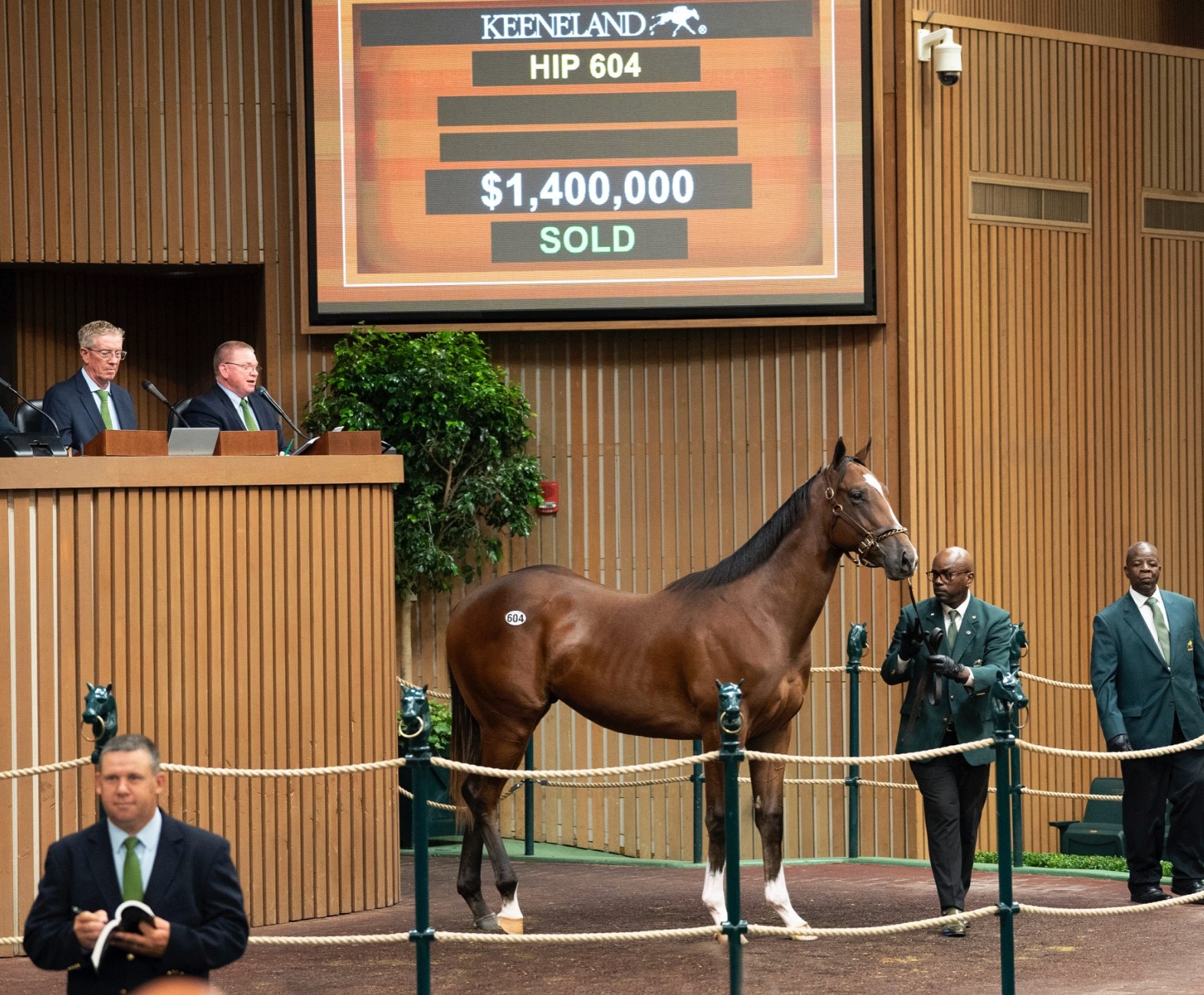 由「淘气鬼」和「毁灭者黎明」（Dawn The Destroyer）育种下小公马