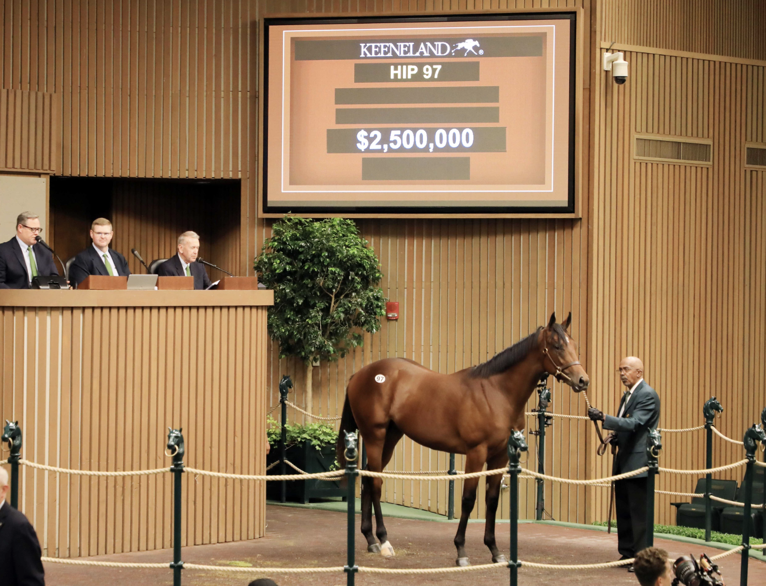 The 2022 Keeneland September Yearling Sale topper. Picture: Keeneland.
