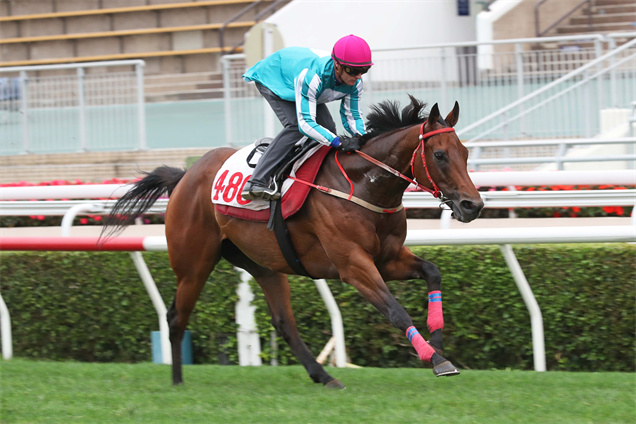 「浪漫勇士」在潘頓胯下輕鬆試閘