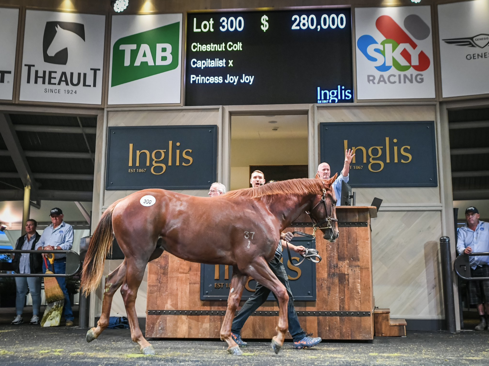 The sale topping Capitalist colt bought by Darby Racing. Picture: INGLIS.