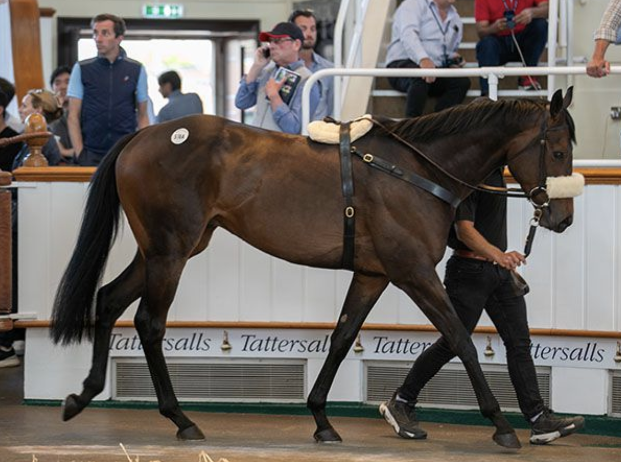 Ethical Diamond. Picture: Tattersalls.