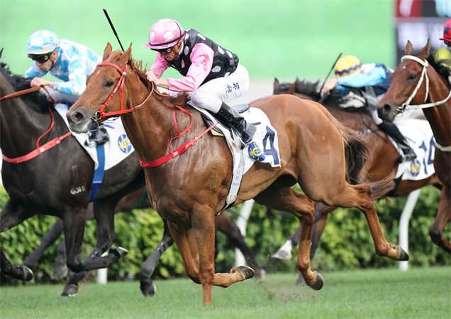 「永遠美麗」今季夥拍潘頓取得五勝