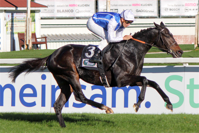 「真強」為德國一級賽盟主