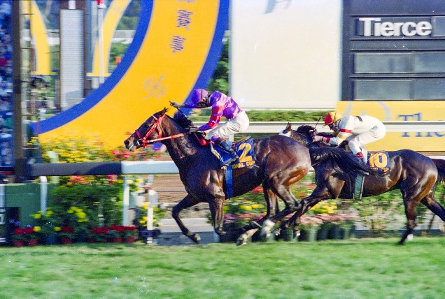 「富士山」以勁勢勝出香港國際盃。
