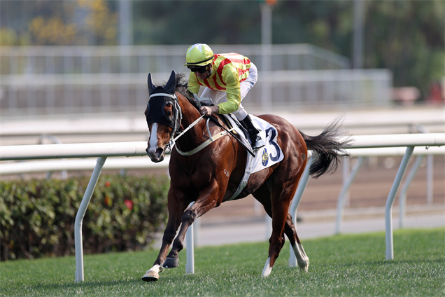 「綫路之星」力爭首度揚威三級賽
