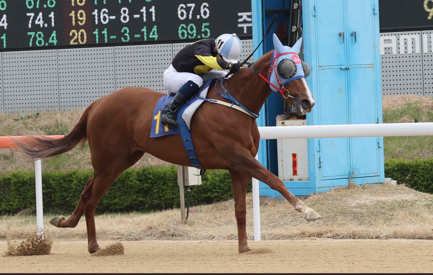 Eclipse Berry Luna Stakes Picture: Korea Racing Authority