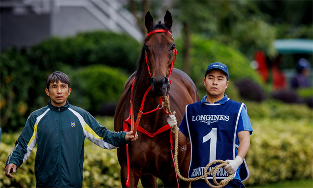 「浪漫勇士」屬現時全球馬壇超級佳駟之一