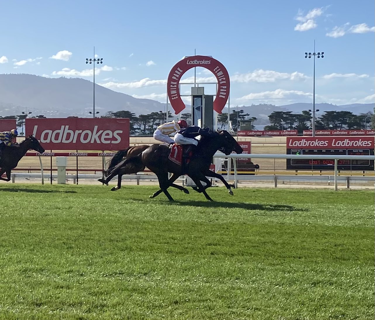 Bold Soul holds on to win the Tasmanian Derby