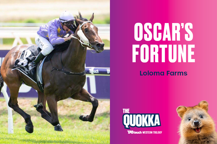 OSCAR'S FORTUNE running in The Quokka. Picture: Michele Florent - RWWA