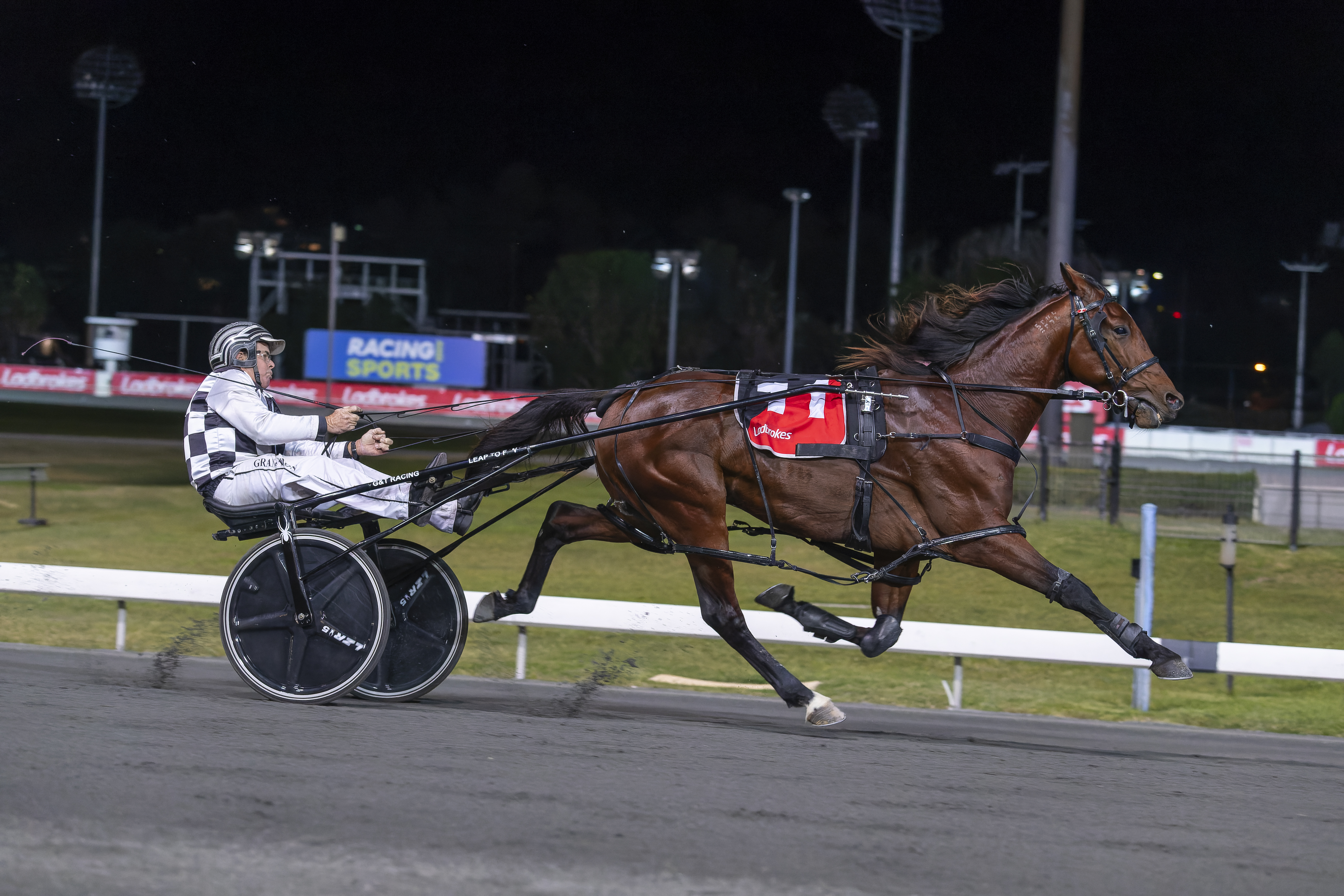 Leap To Fame. <span style='font-family: Calibri, sans-serif; font-size: 11pt;'>Image Dan Costello/Racing Queensland</span>