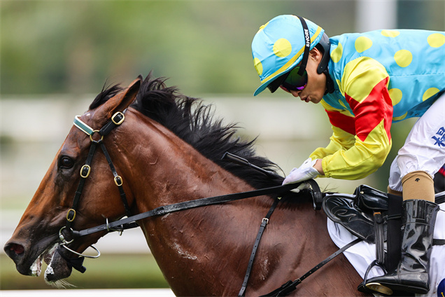 楊明綸夥拍「佳運發」贏得他在港的第三百場頭馬