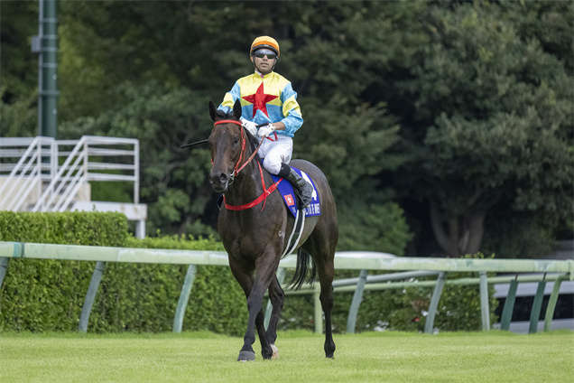 「維港智能」在中山競馬場跑獲第六名，賽後返回解鞍處