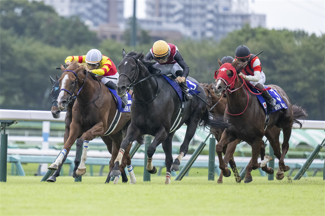 「賢德之君」在中山攻下短途馬錦標