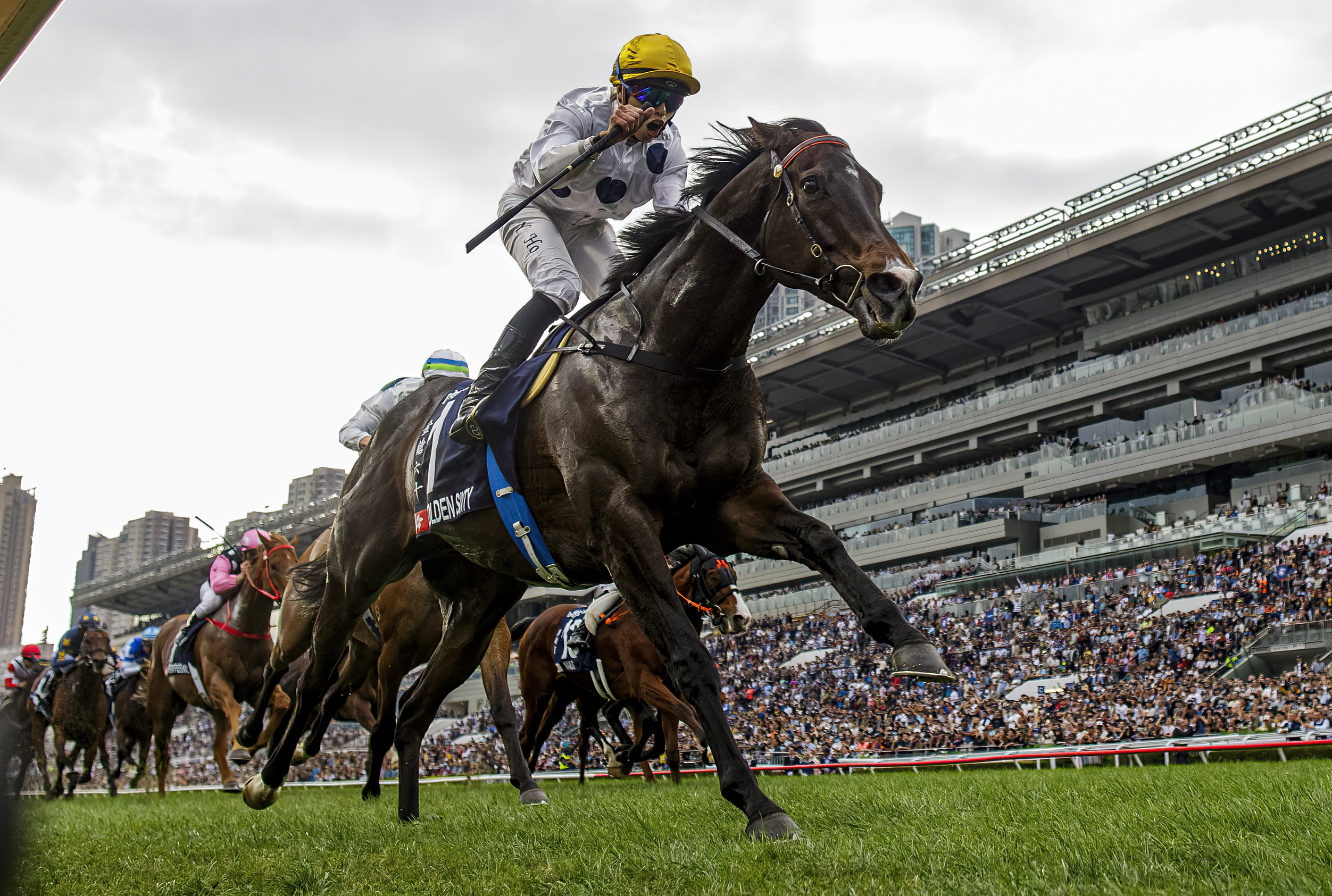 9月22日齊來沙田馬場歡送三屆香港馬王「金鎗六十」。