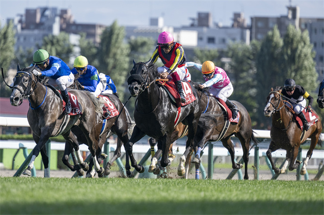 田泰安（粉紅帽）於8月在札幌報捷