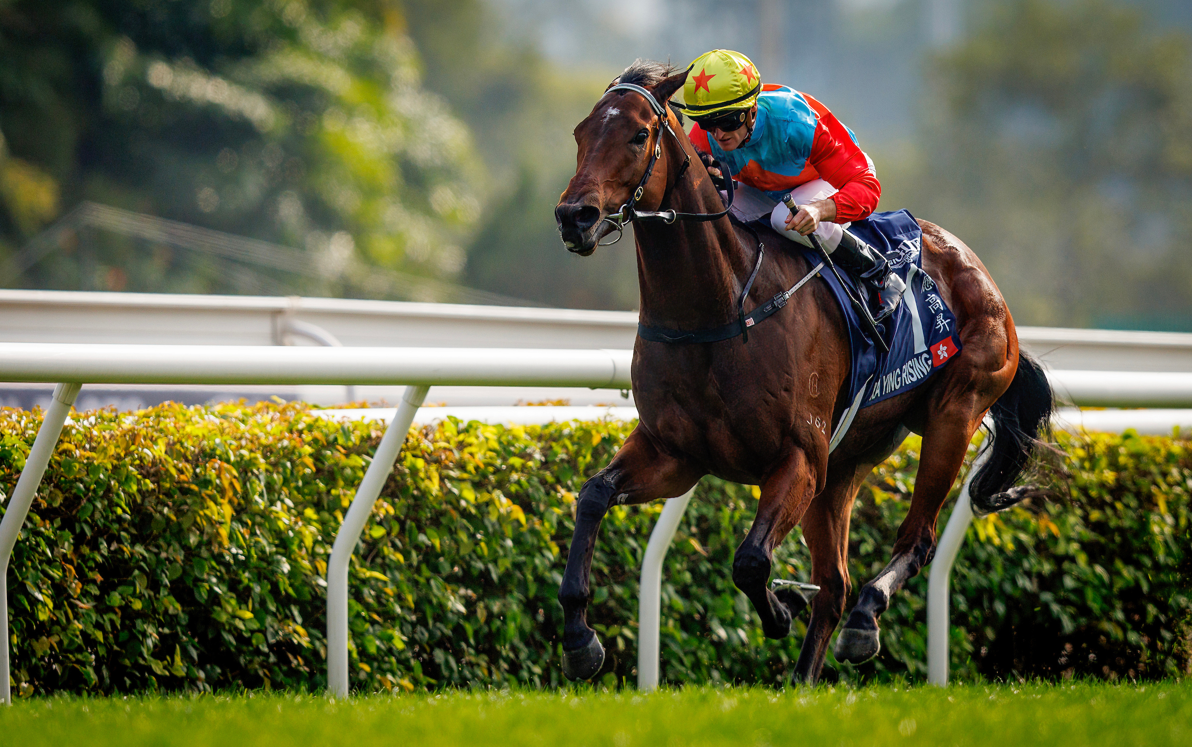 「嘉應高昇」將力爭今季第八場頭馬。