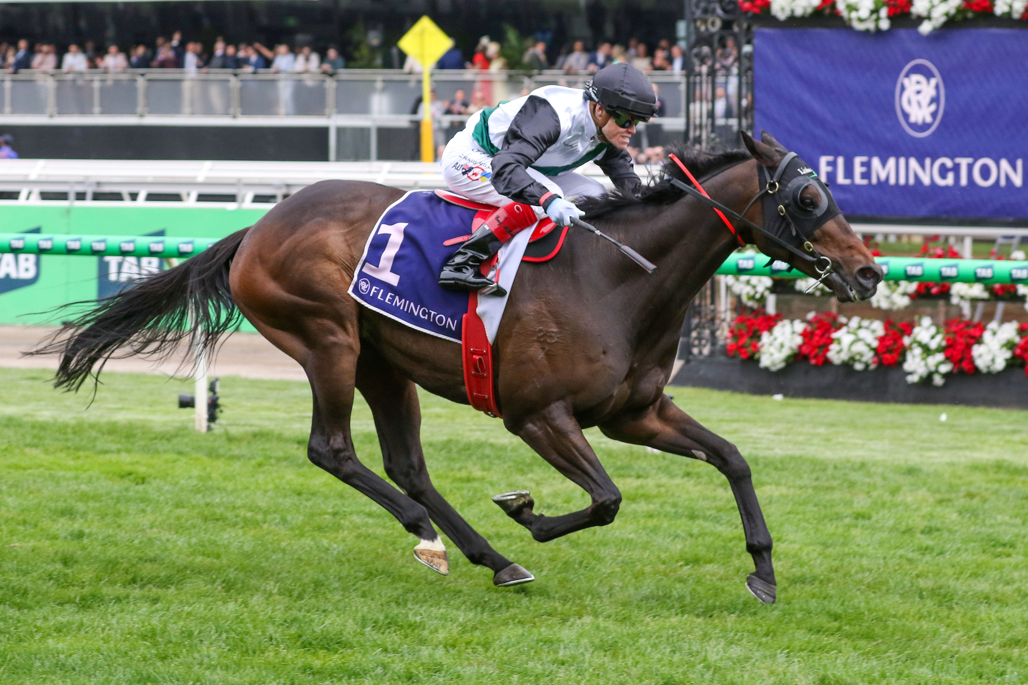 韋紀力將為「樂觀派」主轡。