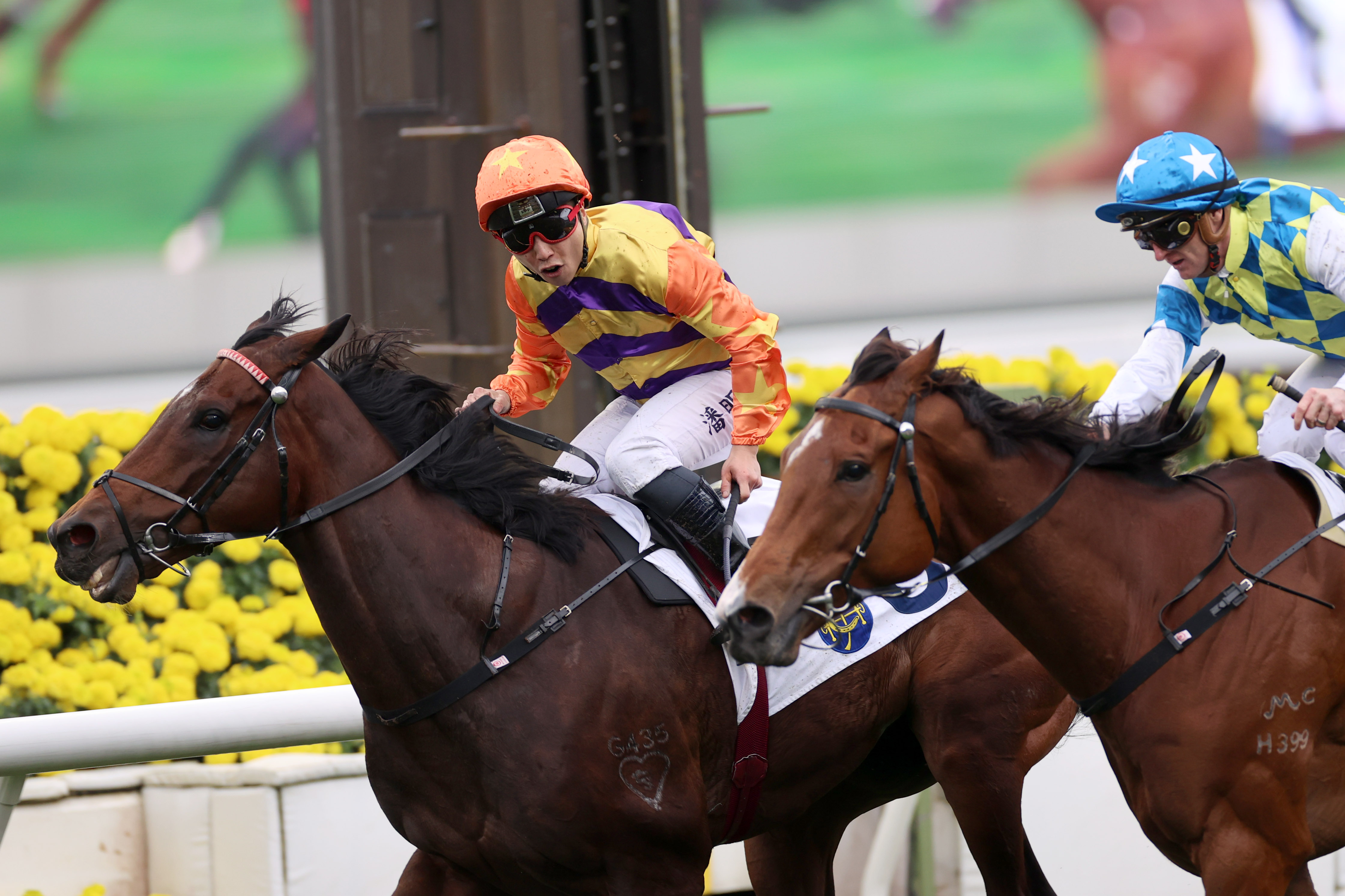 「直線力山」在沙田揚威主席錦標。