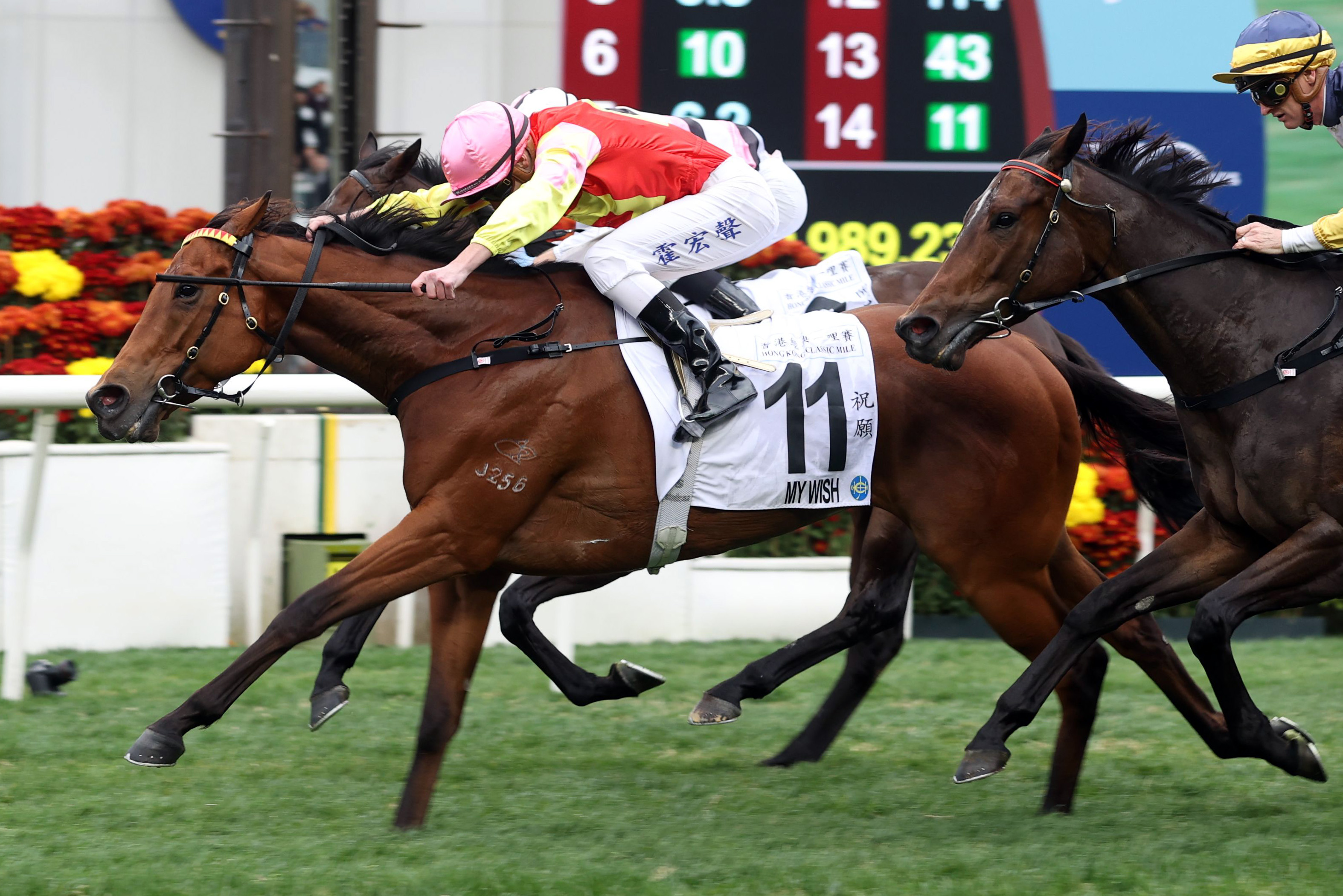 「祝願」在富衛保險冠軍一哩賽首度挑戰一級賽。