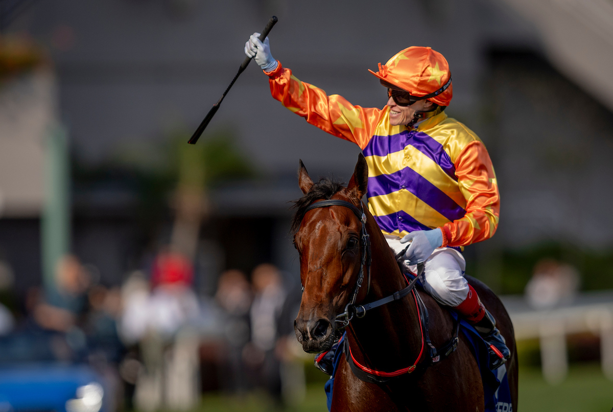 韋紀力夥拍「百賀飛駒」攻下2025年寶馬香港打吡大賽。