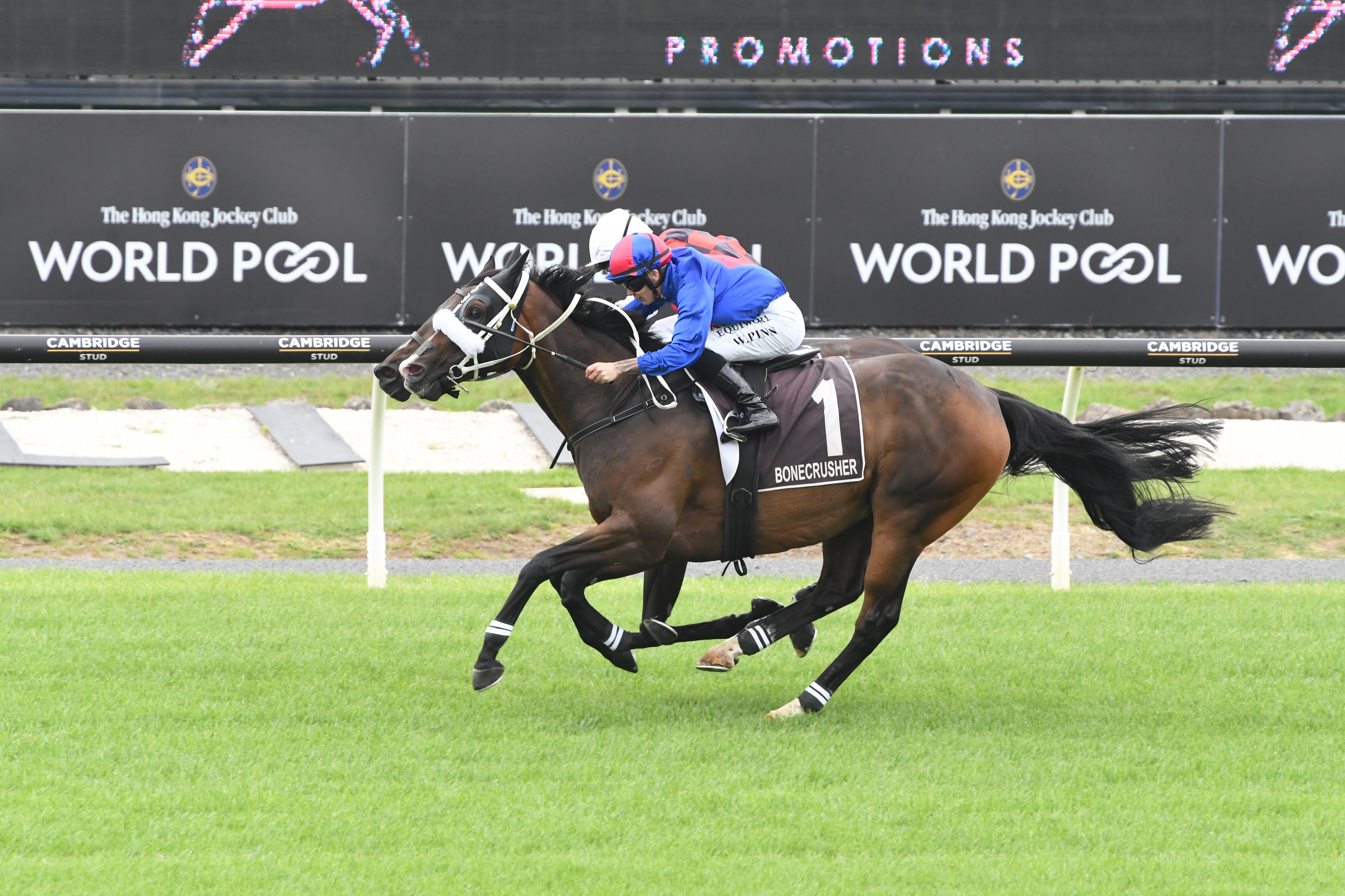 「贏家」連勝三項一級賽。