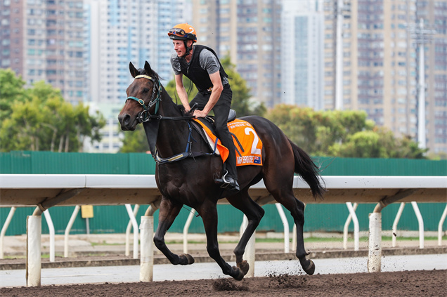 「樂觀派」於週一（4月21日）在沙田馬場進行操練