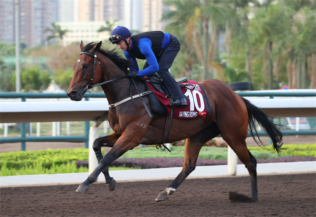 「嘉應高昇」在沙田進行操練