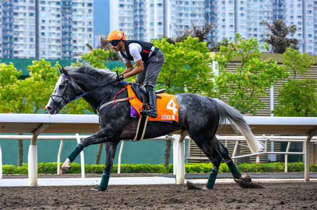 「名俠」本週在沙田操練時狀態甚佳