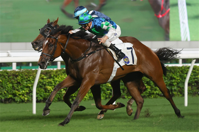 「合夥奔馳」迄今共贏得七場頭馬