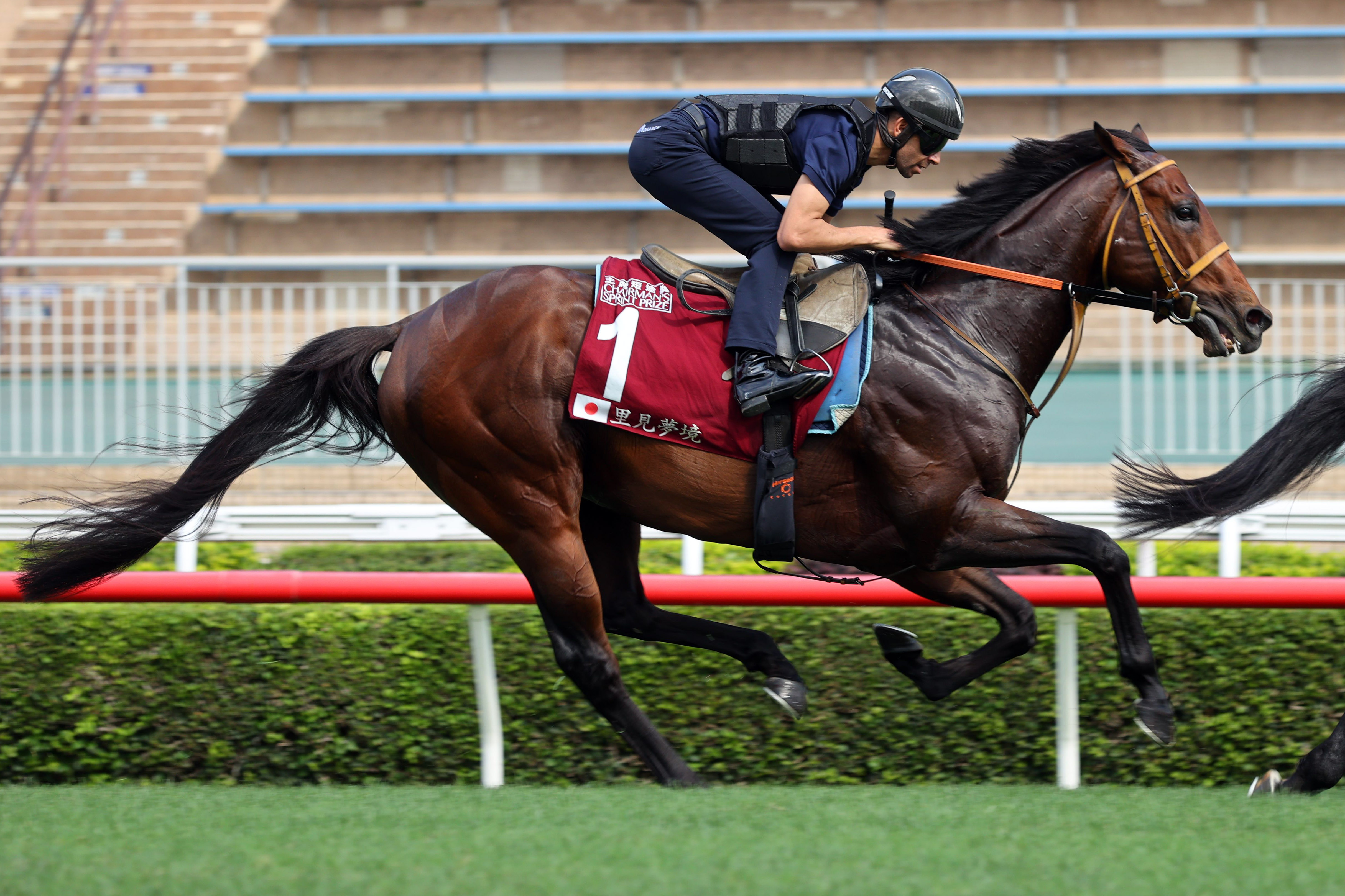 莫雷拉為「里見夢境」主操。