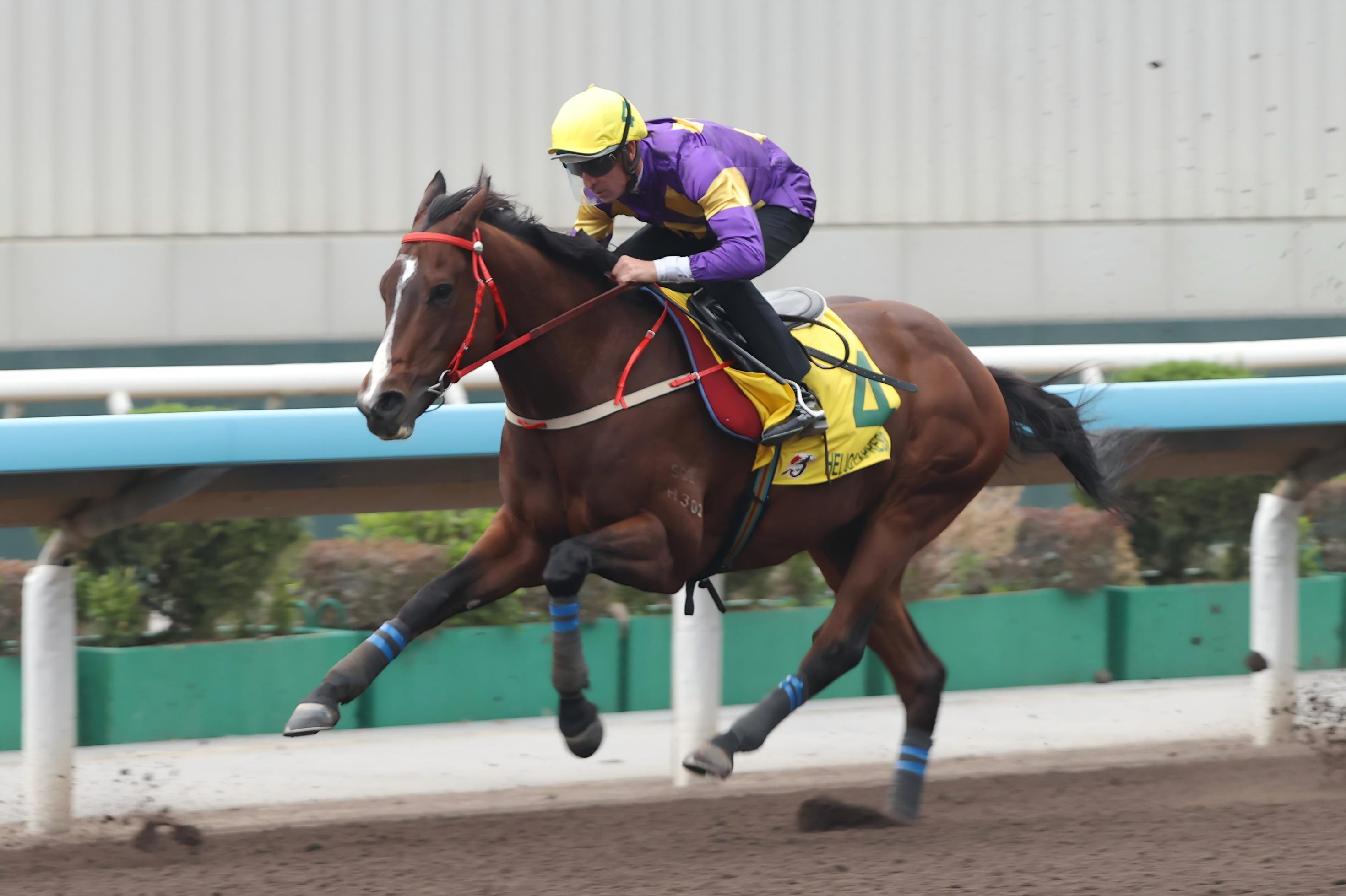 「驕陽明駒」今早在沙田試閘時交出強勁表現。