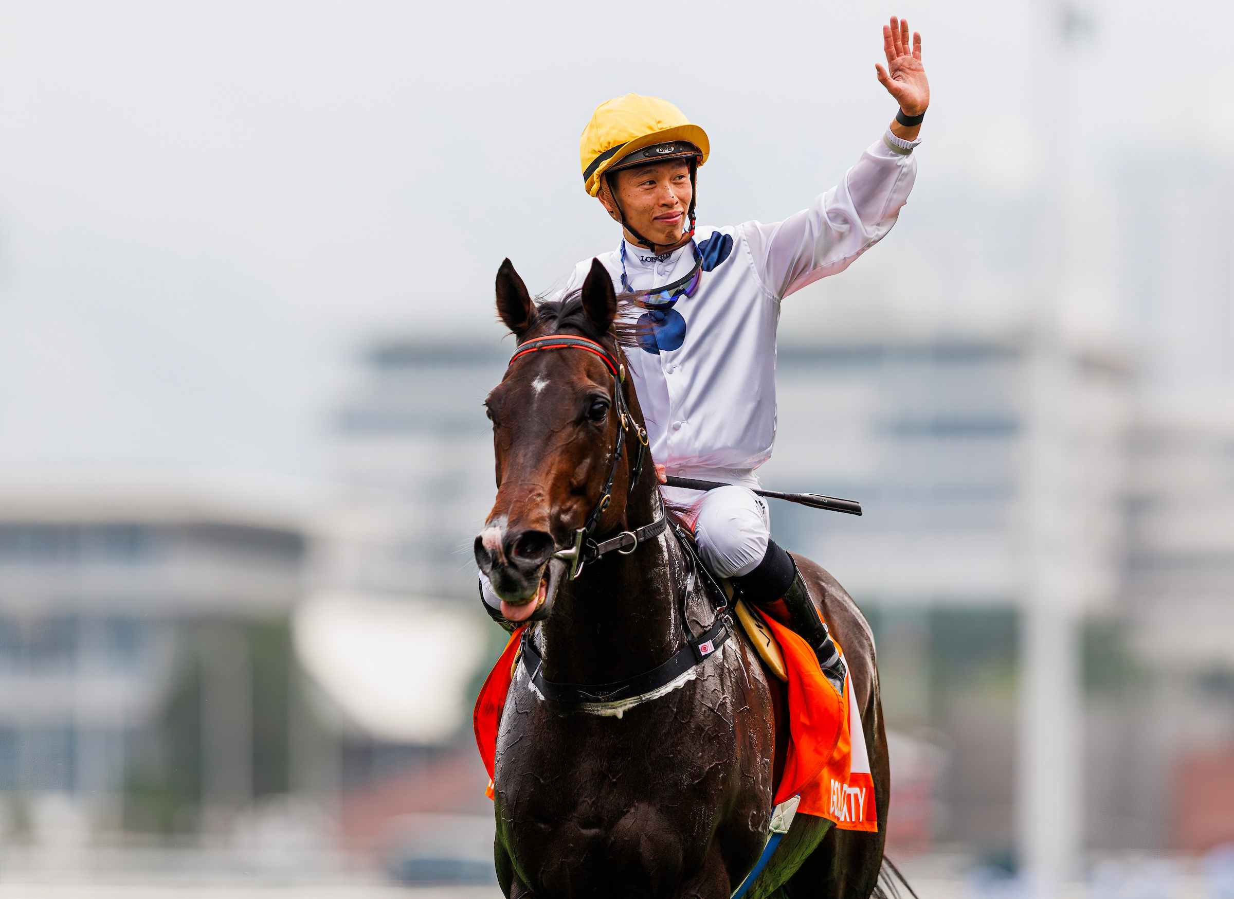 何澤堯與「金鎗六十」關係密切