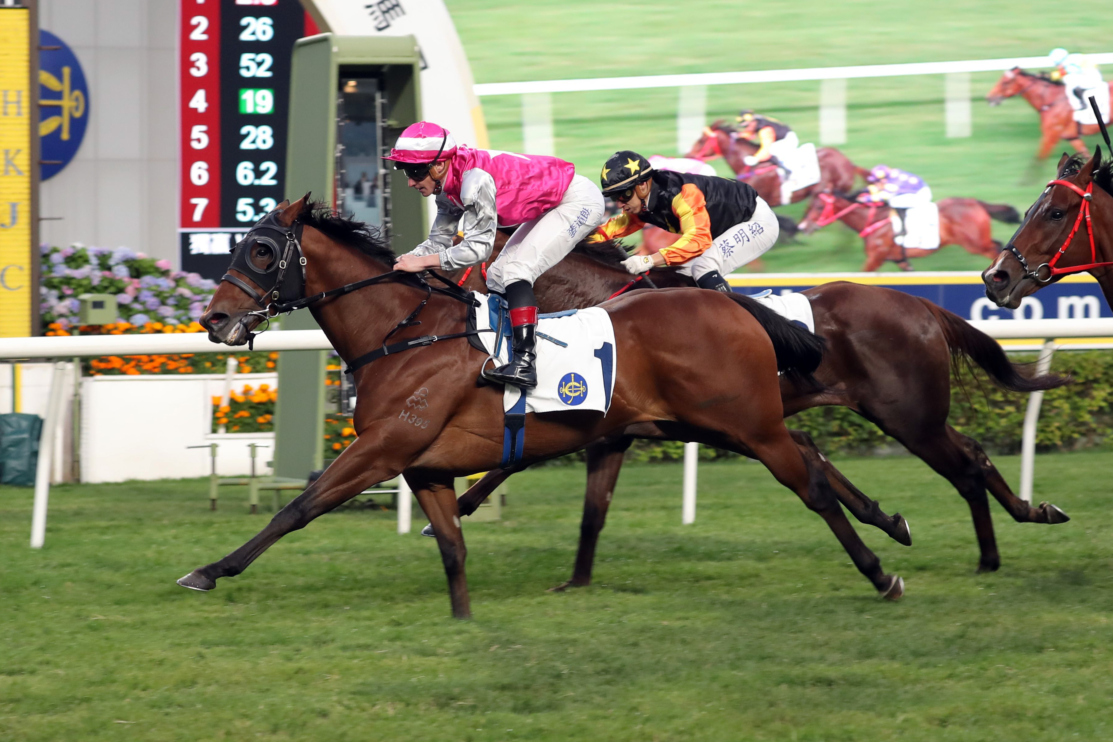 「駿步騰飛」是游達榮於本週日（12月7日）沙田賽事的主要爭勝希望之一