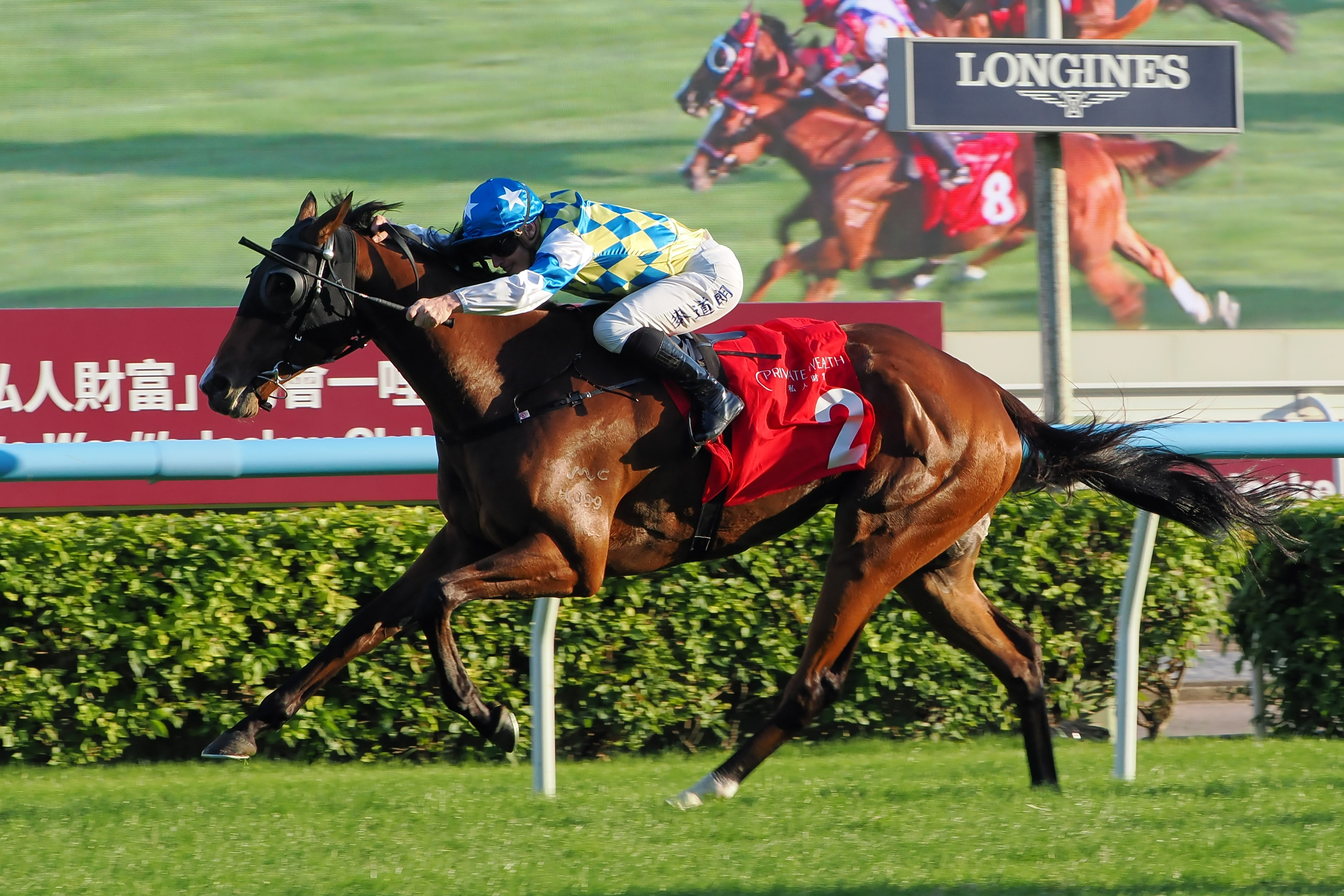 麥道朗認為「錶之銀河」有力成為浪琴香港一哩錦標（1600米一級賽）的爭標要角