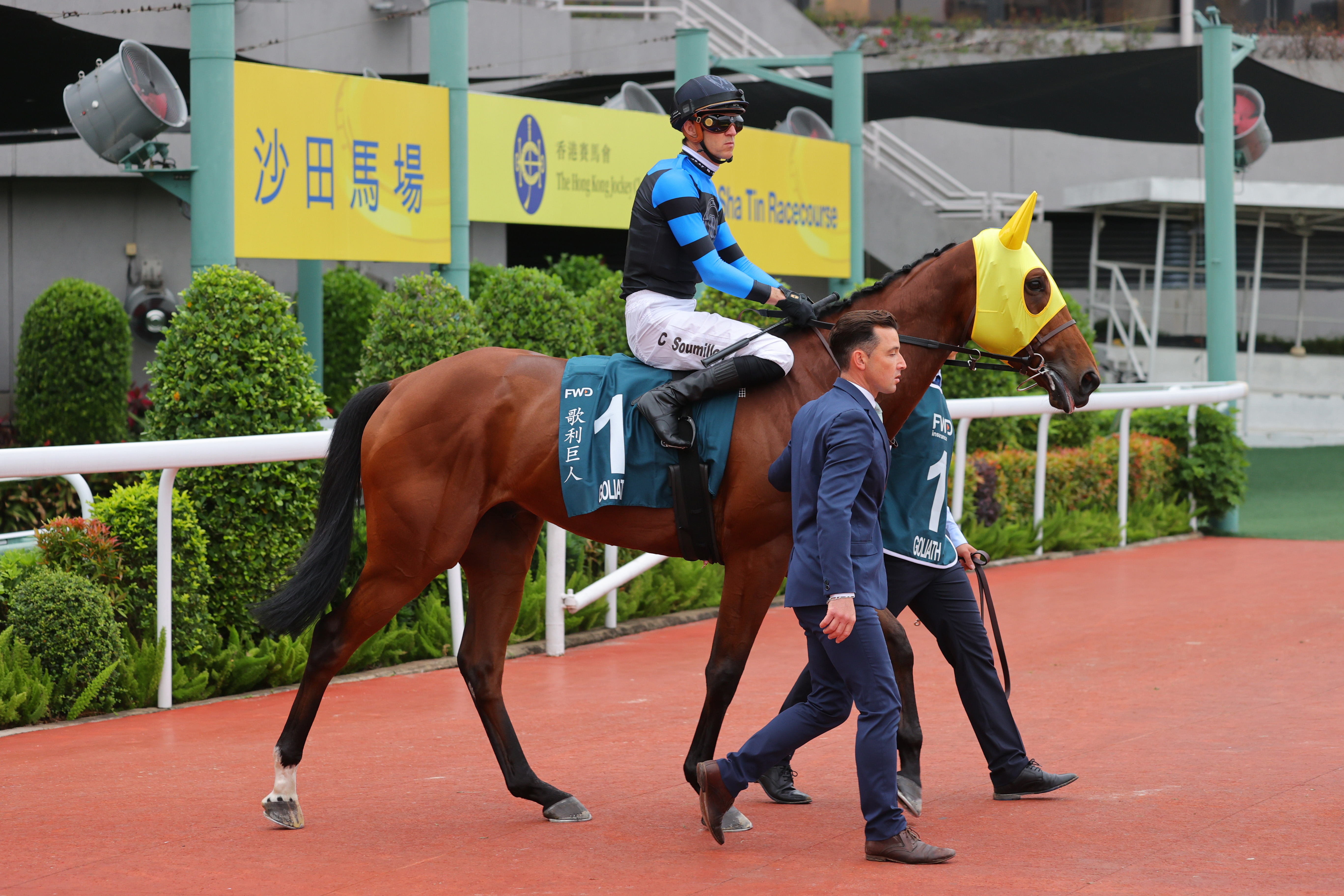「歌利巨人」將於今年第二度來港參賽