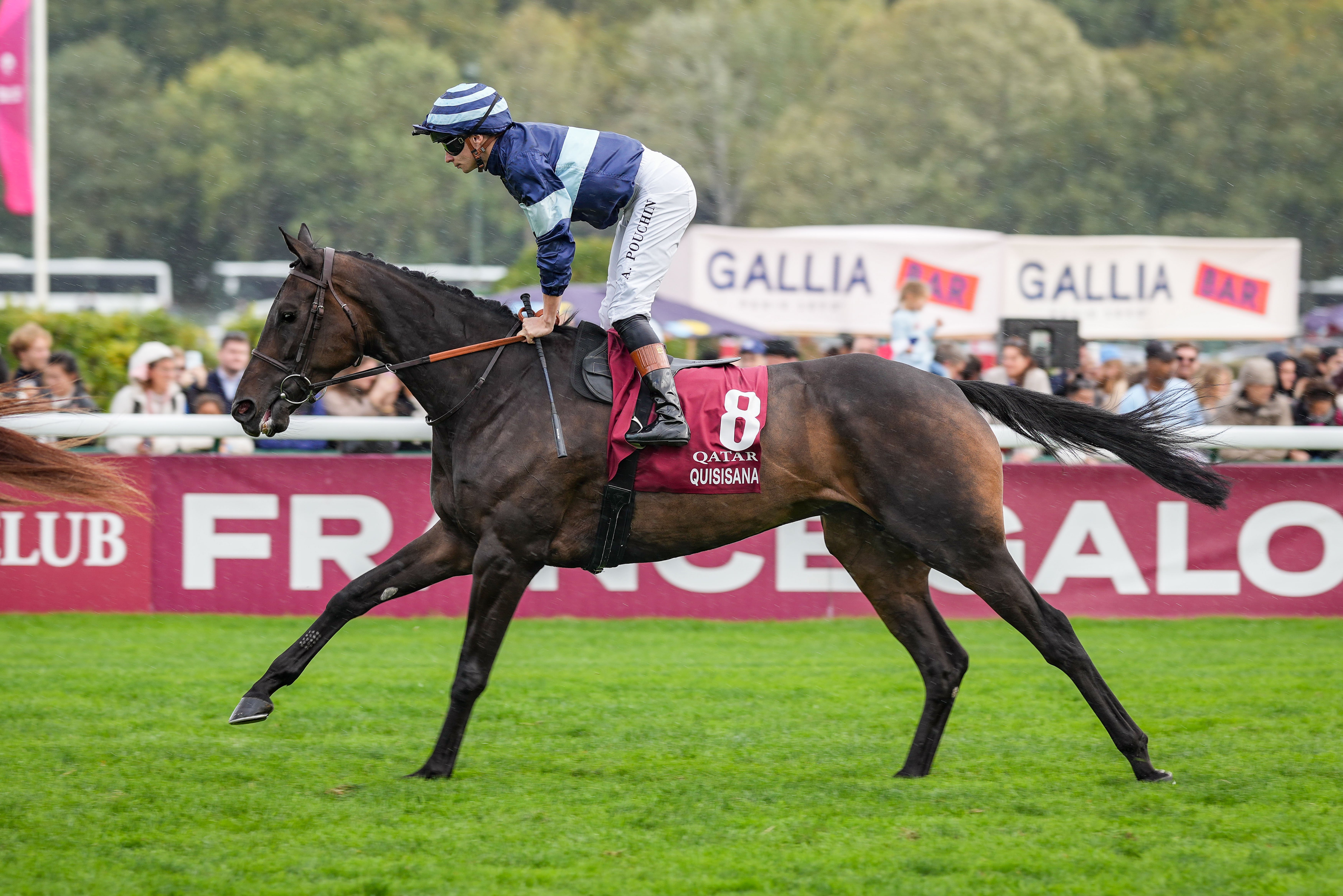 「健身心」是葛威法旗下另一匹一級賽盟主