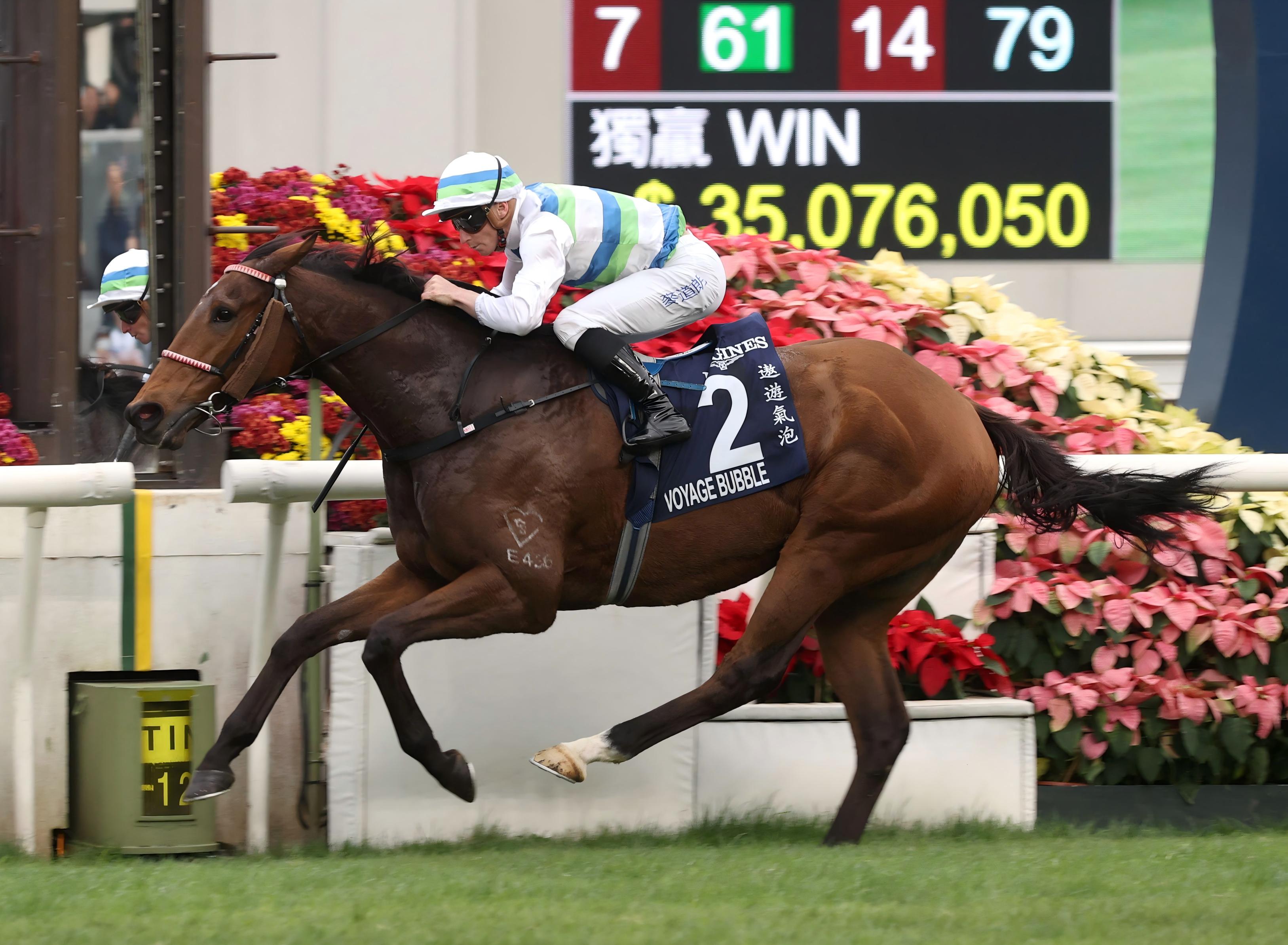 「遨遊氣泡」去年攻下一級賽浪琴香港一哩錦標。