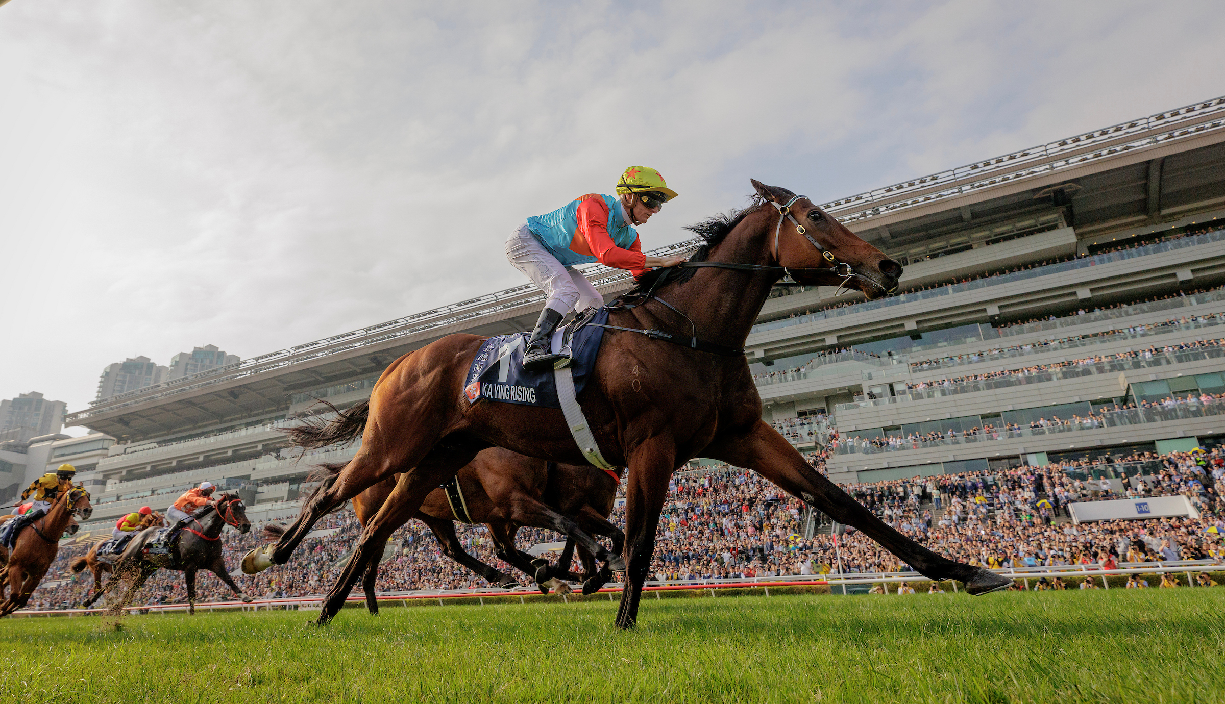 「嘉應高昇」於2024年攻下一級賽浪琴香港短途錦標。