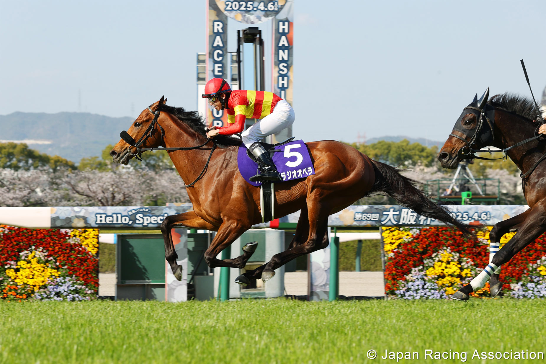 「寶徠歌劇」曾兩勝一級賽