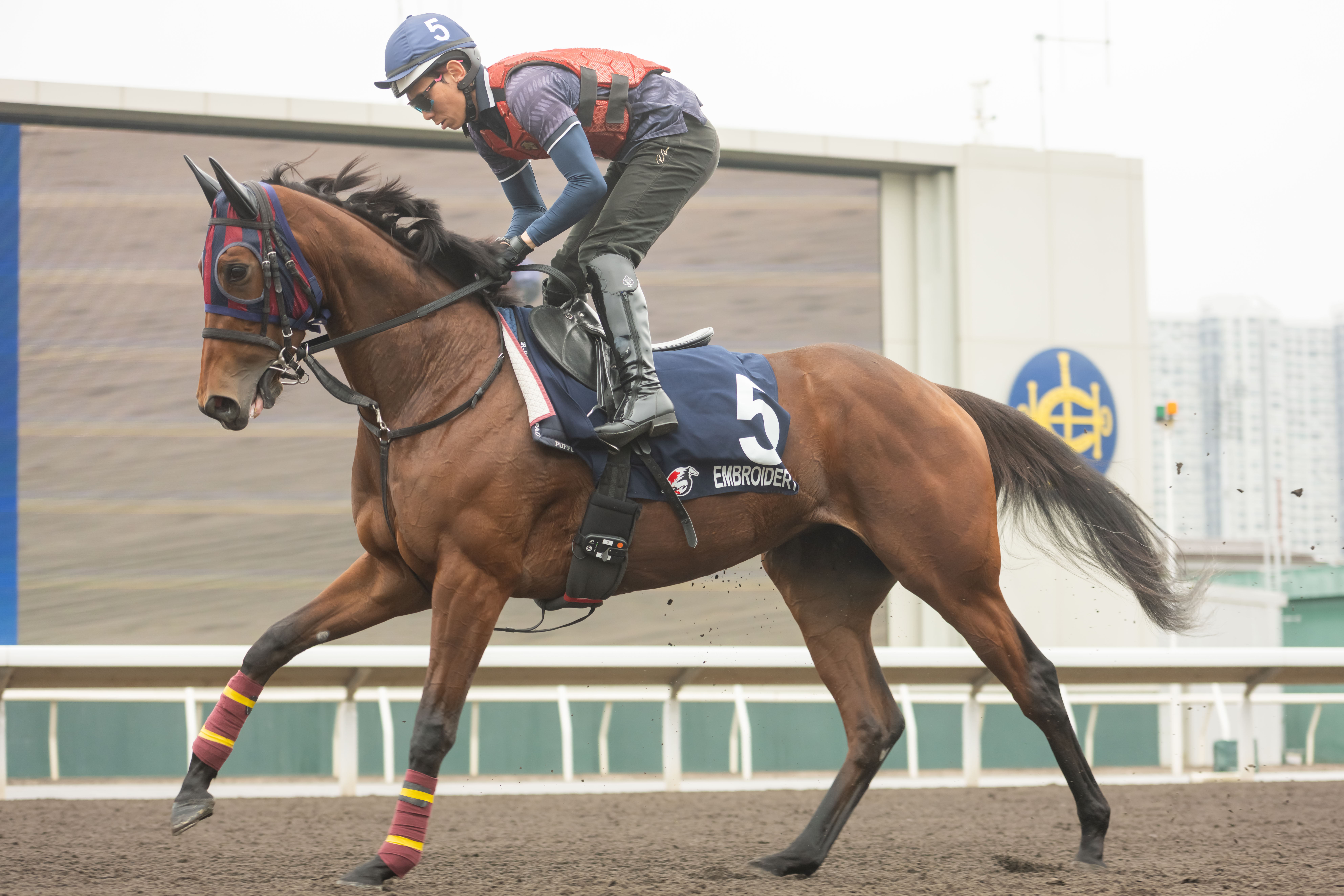 「巧繡生花」是兩項一級賽盟主