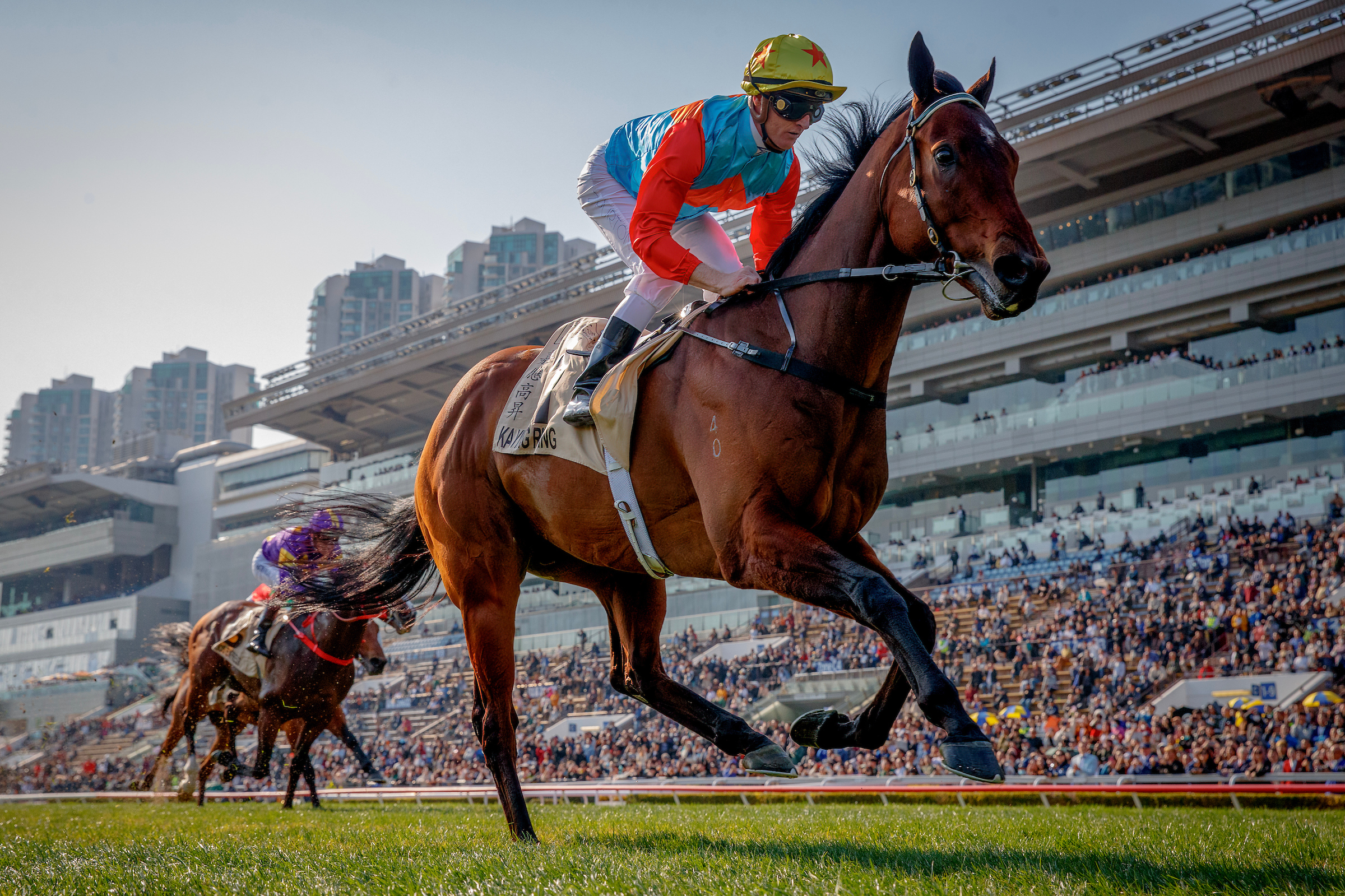 「嘉應高昇」將於週日（12月14日）爭取十六連勝