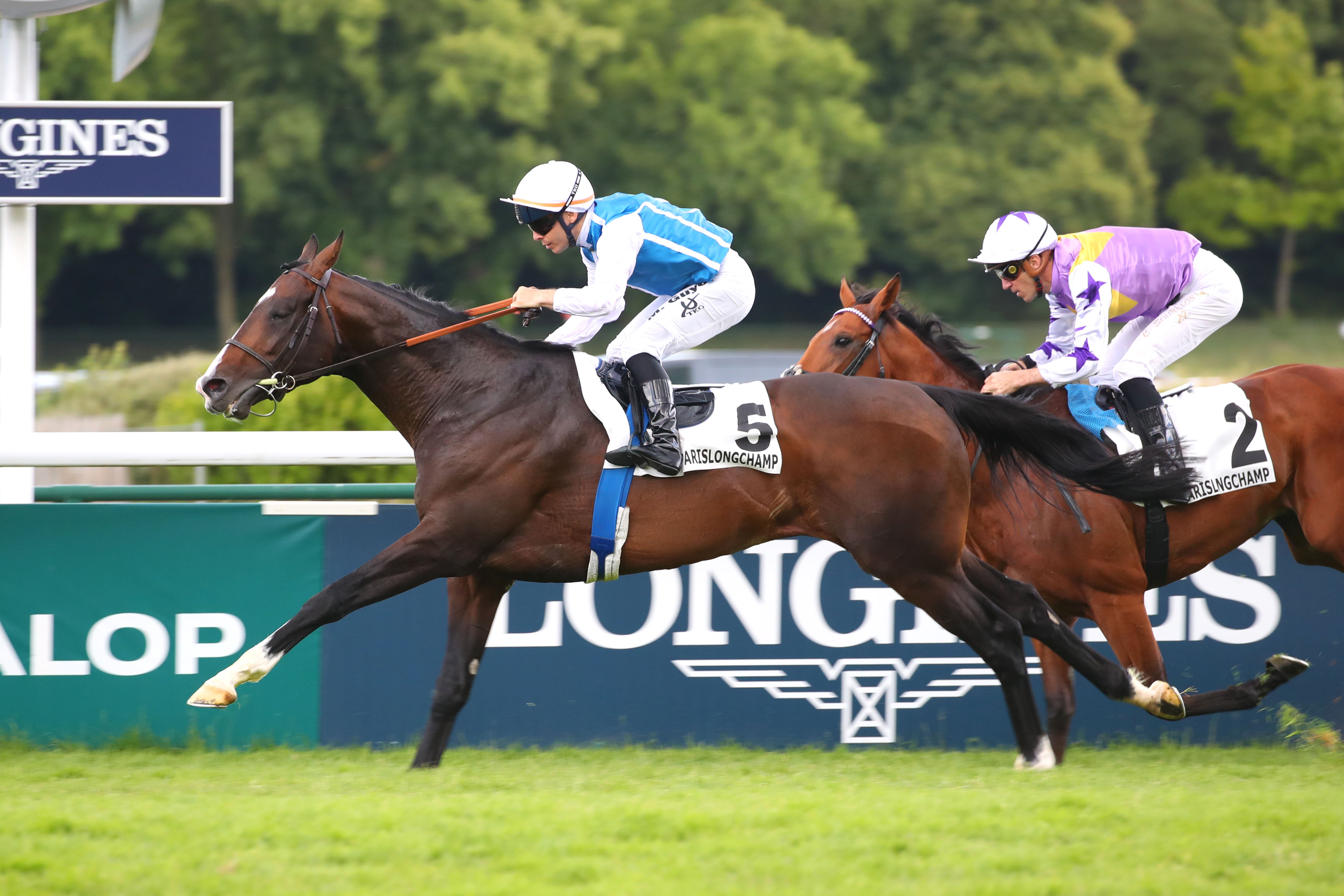 「同工之妙」 在凱旋門大賽(2400米一級賽)取得佳績,今次挾勇態前來沙田爭標 「同工之妙」 在凱旋門大賽(2400米一級賽)取得佳績,今次挾勇態前來沙田爭標