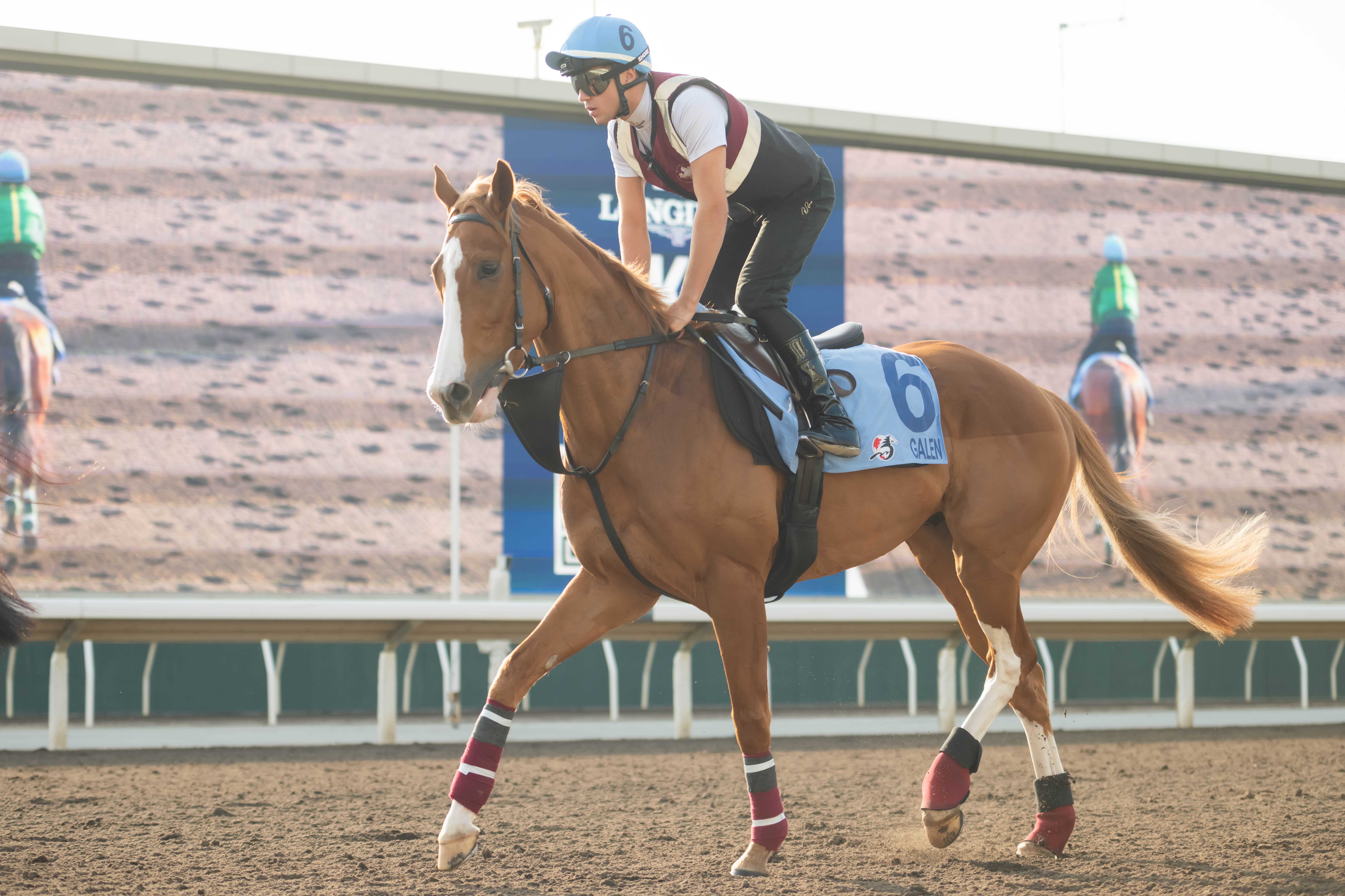 「名醫」本週在沙田出操